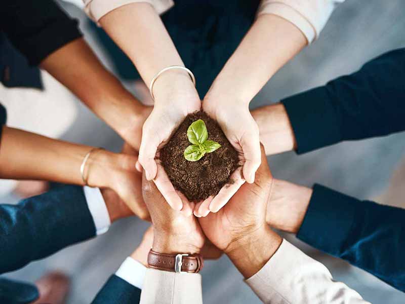 Social Responsibility to Our Team - hands of several people holding a plant